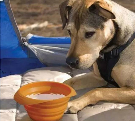 東莞<a href='http://m.jinxiule.com/' class='keys' title='點擊查看關于帝博硅膠制品廠的相關信息' target='_blank'>帝博硅膠制品廠</a>