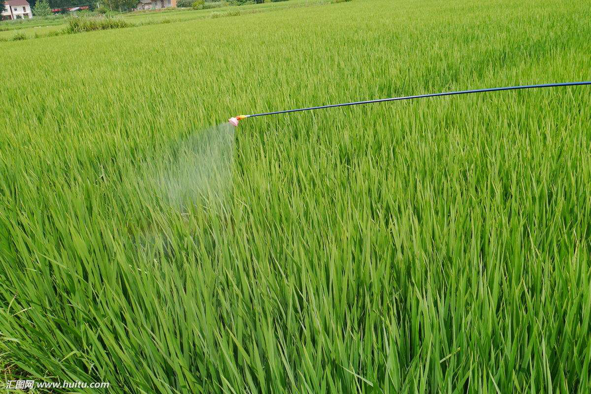 圖片2.png 圖片2.png