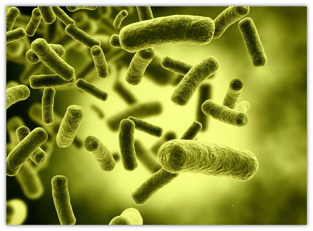 09232n2.jpg 09232n2.jpg